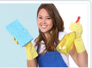 Commercial and Domestic Cleaning Company with High Quality Cleaning Solutions