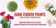 Flower Bouquet Arrangement | Flower Bouquet Price  