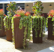 Rusty color corten steel planter for garden decoration