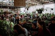 Perth - Huge Indoor Plant Warehouse Sale - 2nd Birthday Bash